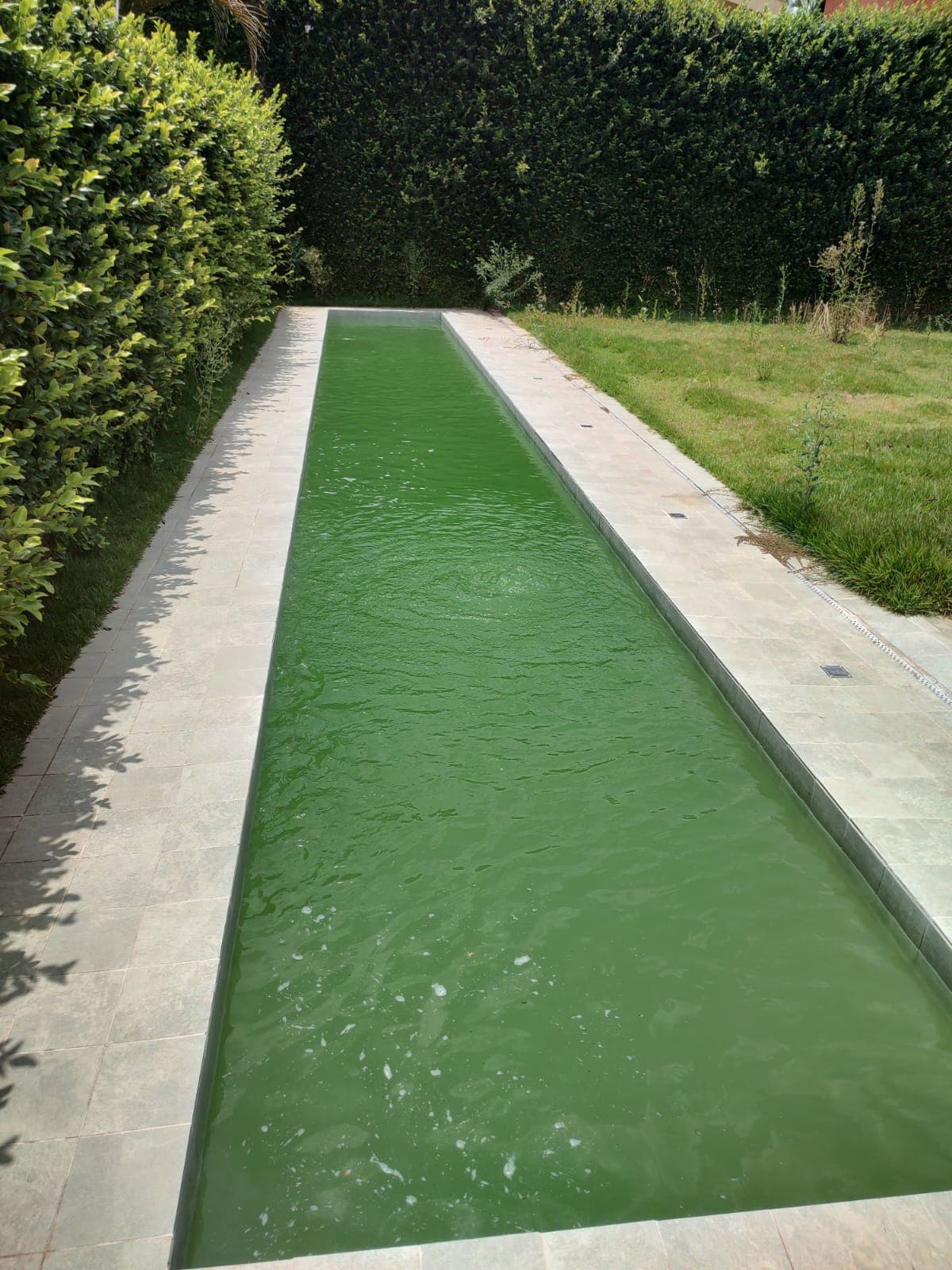 Piscina antes do tratamento